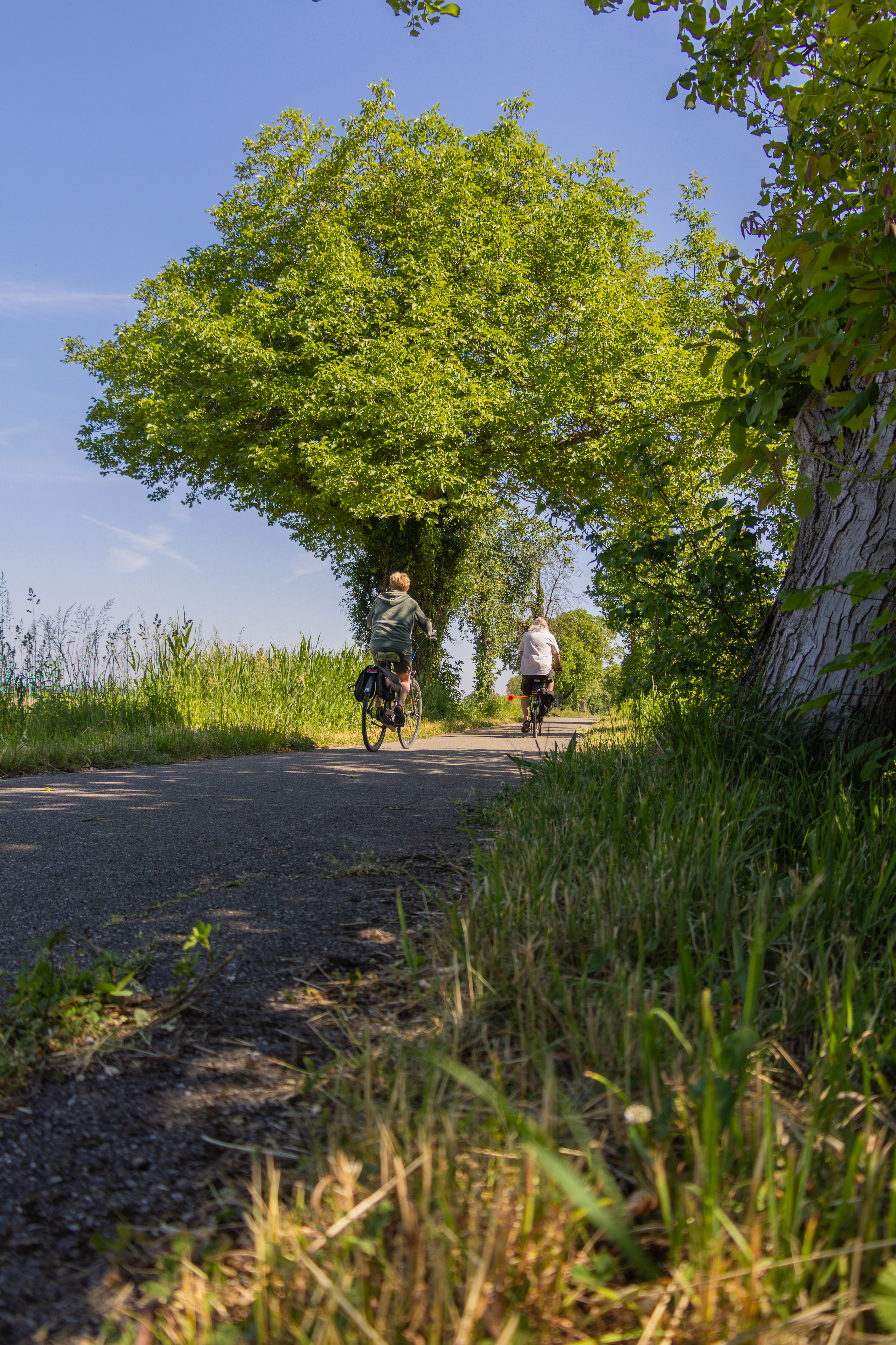 Piste cyclable